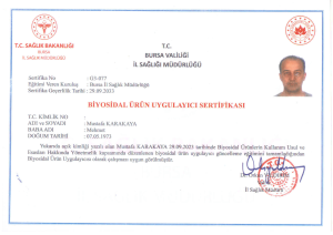 Altın Rengi Yeşil Zarif Elegant Dikey Başarı Sertifikası
